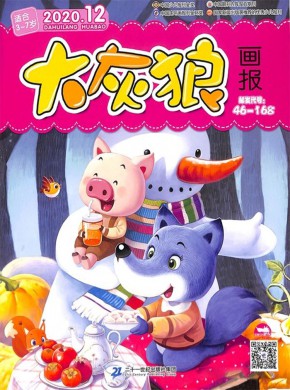 大灰狼杂志